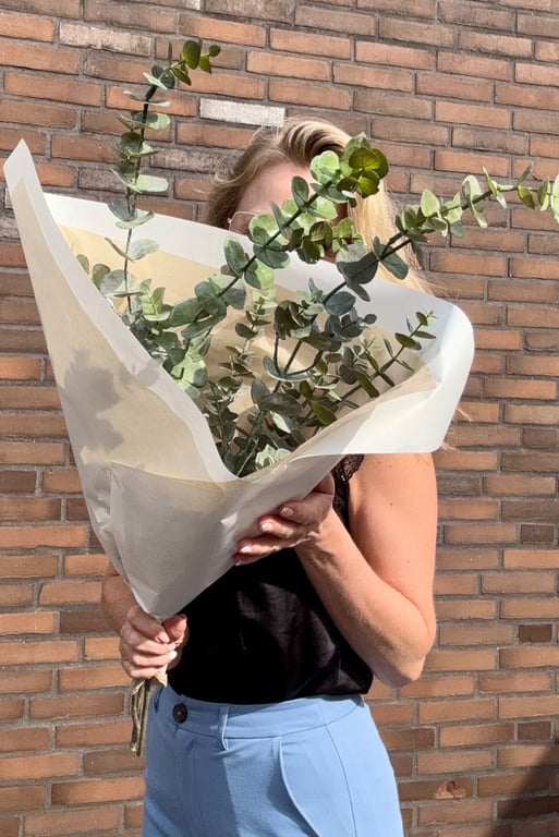 eucalyptus gren 75 cm billede 5