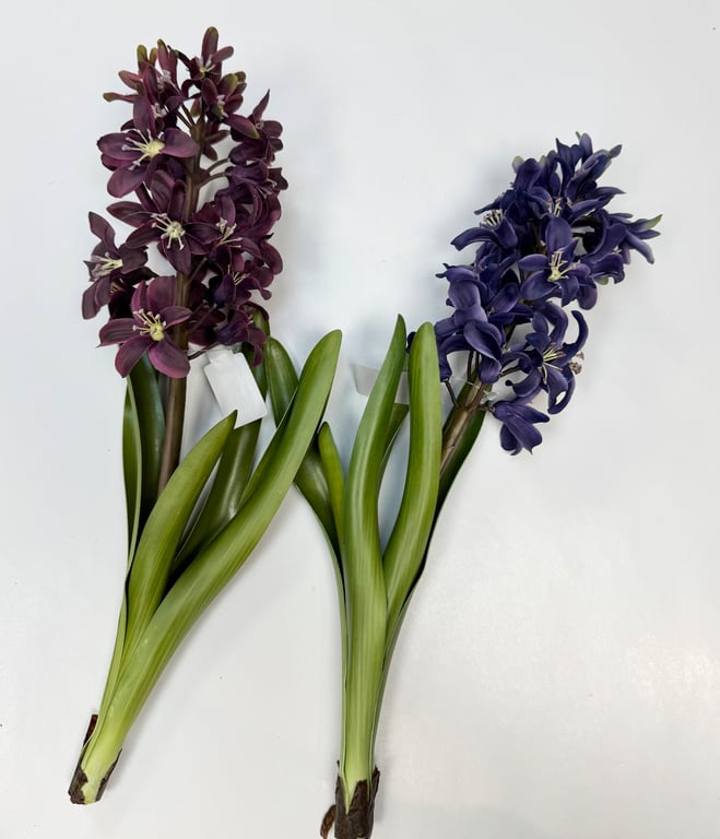 Hyacint blå billede 2