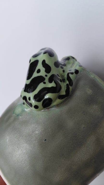 giftfrø kop billede 2