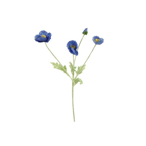 Blå valmueblomster med grønne stilke og blade på hvid baggrund. (1)