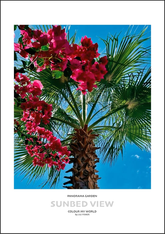 Sunbed view - Alanya billede 2