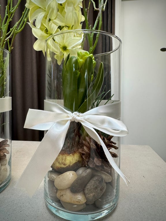 Hyacint i glas billede 2