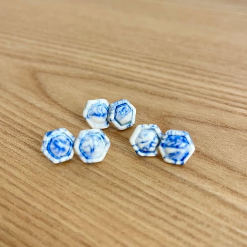 Blå og Hvide Ørestikkere (7)
