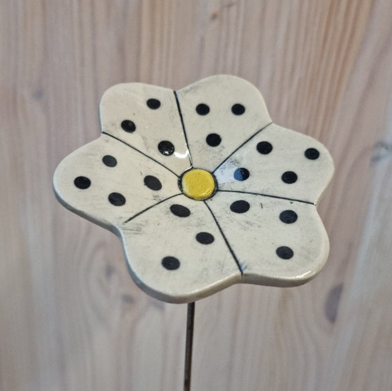 Haveblomst billede 2
