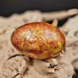 Orange / rød gåse æg – produktbillede