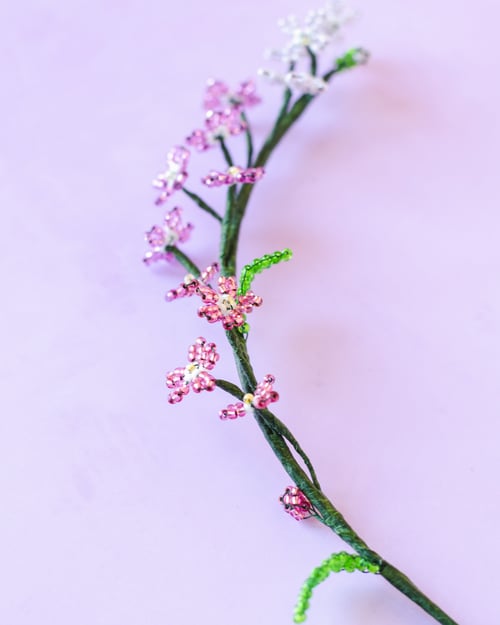 Rosa forglem mig ej