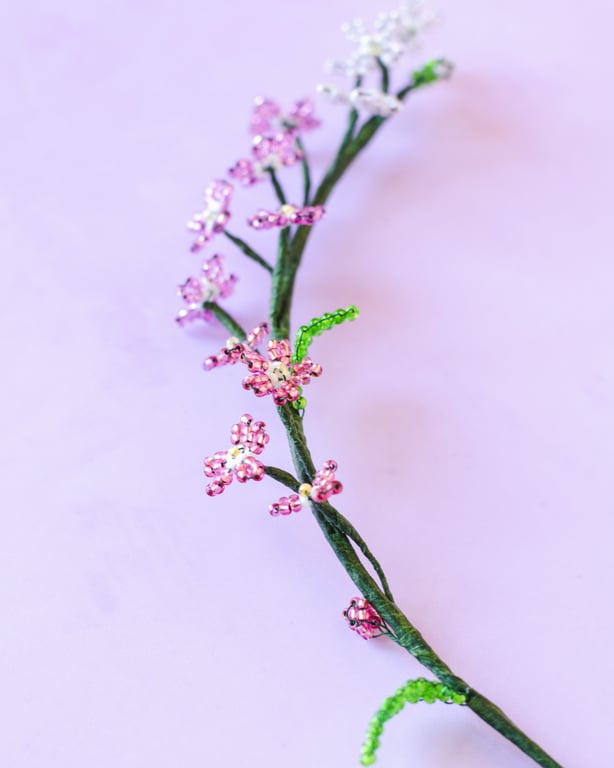 Rosa forglem mig ej