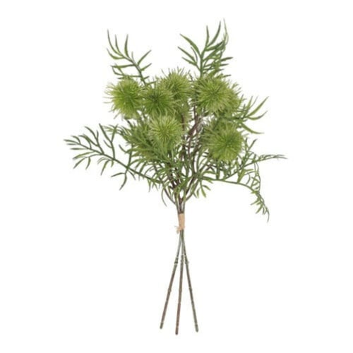 Bukket af grønne planter med spidse blade og runde, torneagtige blomsterstande. (1)