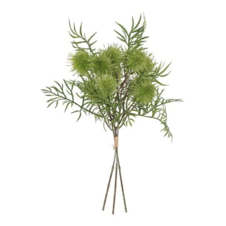 Bukket af grønne planter med spidse blade og runde, torneagtige blomsterstande.