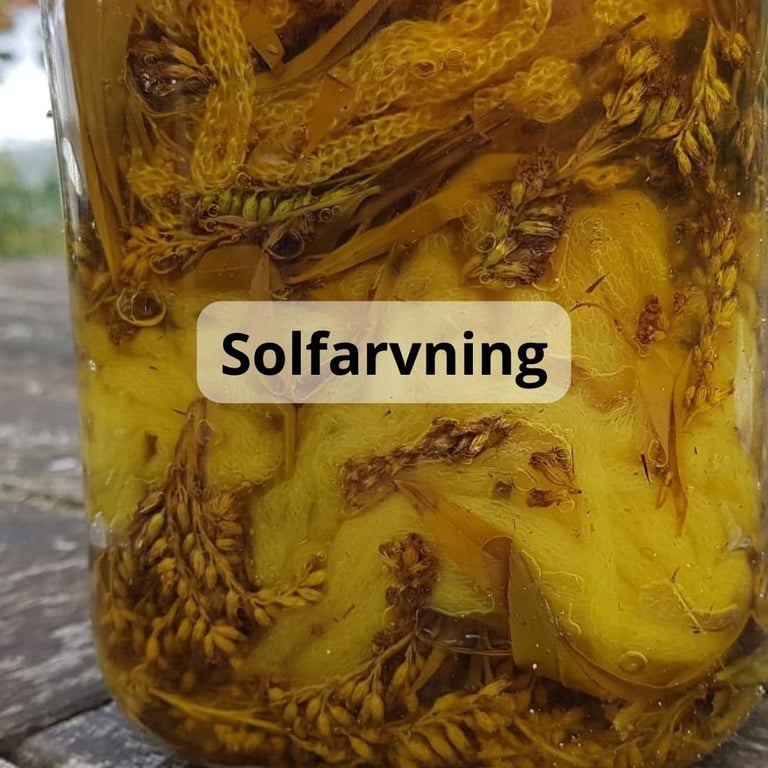 Solfarvning af garn billede 6