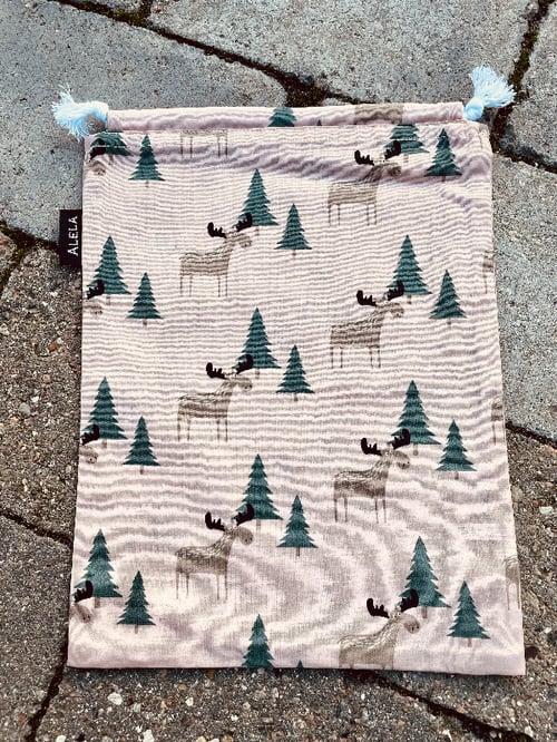 Moose in forest (2)