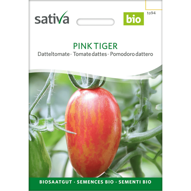 Frøpakke til økologiske Pink Tiger daddeltomater fra Sativa med billede af en rød-orange stribet tomat på planten.