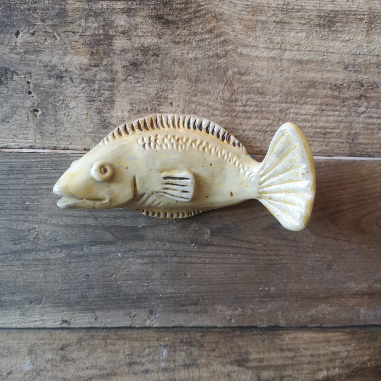 Fisk gul