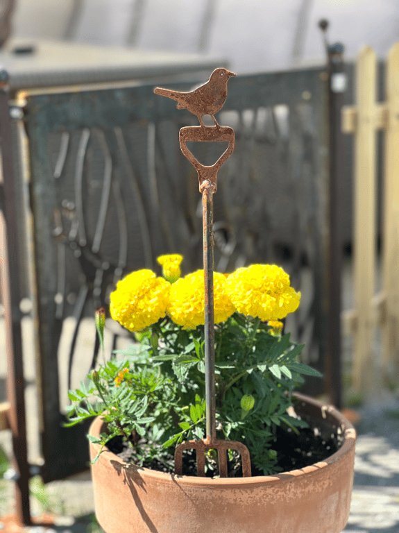 Plante pind med fugl