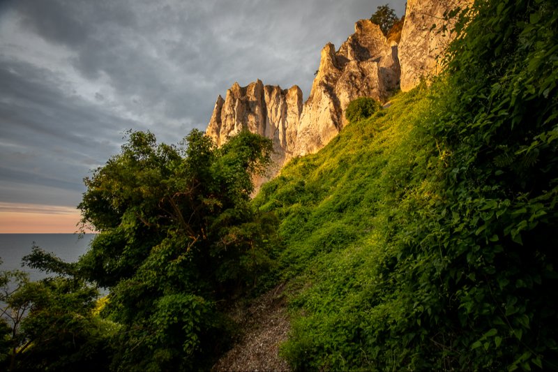Møns klint i varmt morgenlys
