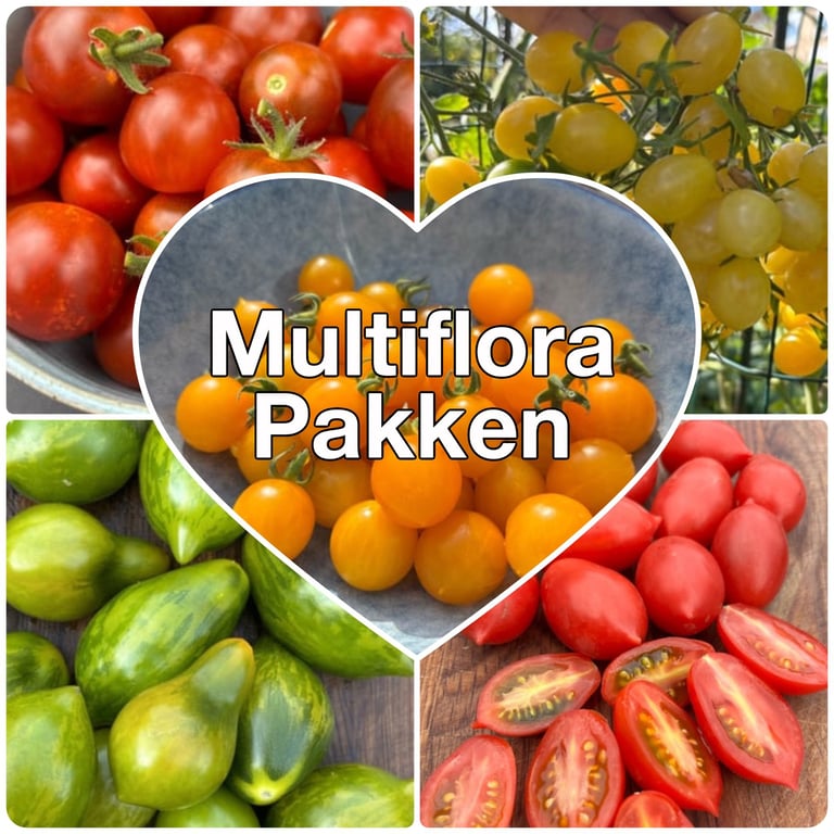 Billede med forskellige typer tomater i farverne rød, gul og grøn arrangeret i en collage med teksten "Multiflora Pakken" midt i et hjerte.