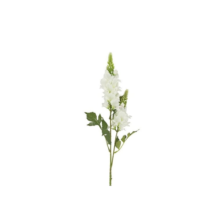 Hvid blomst med grøn stilk og blade på hvid baggrund.