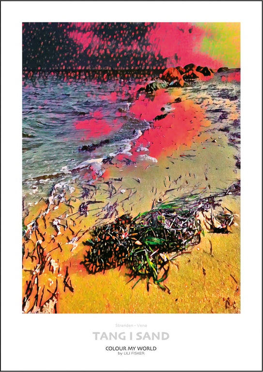 Tang i sand - Venø billede 2