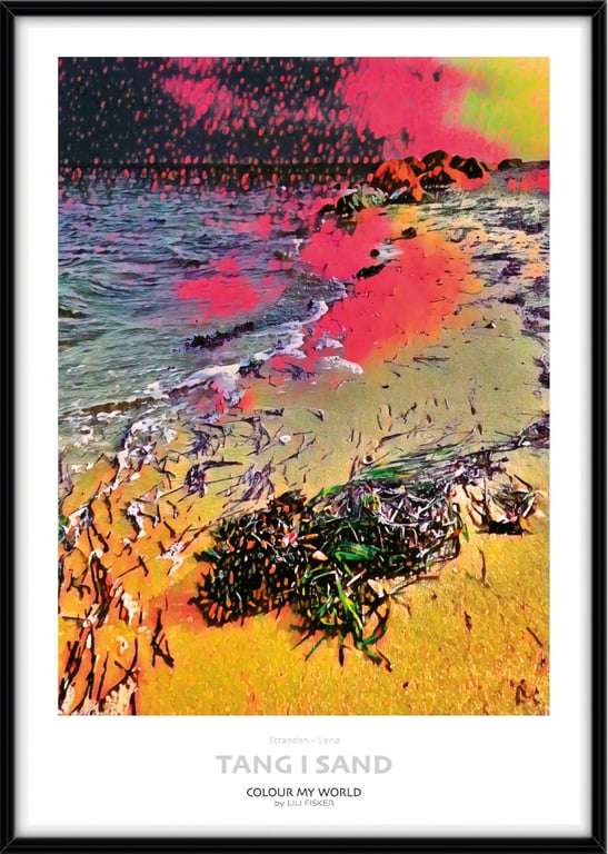 Tang i sand - Venø billede 4