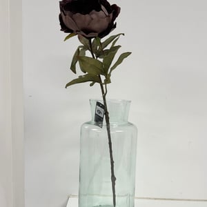 Pæon brun – produktbillede