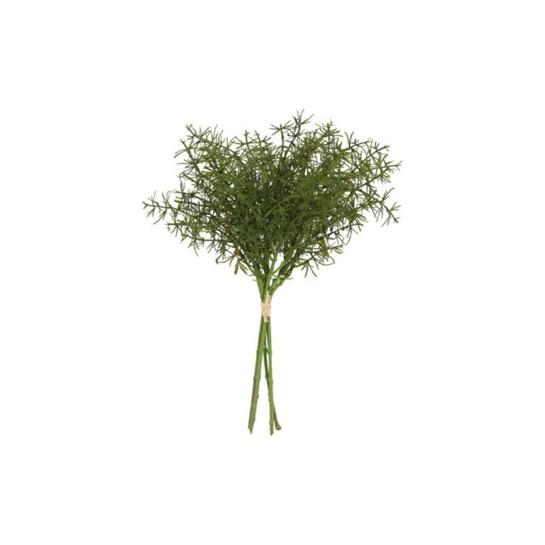 Buket af grønne grene bundet sammen med et bånd på hvid baggrund.