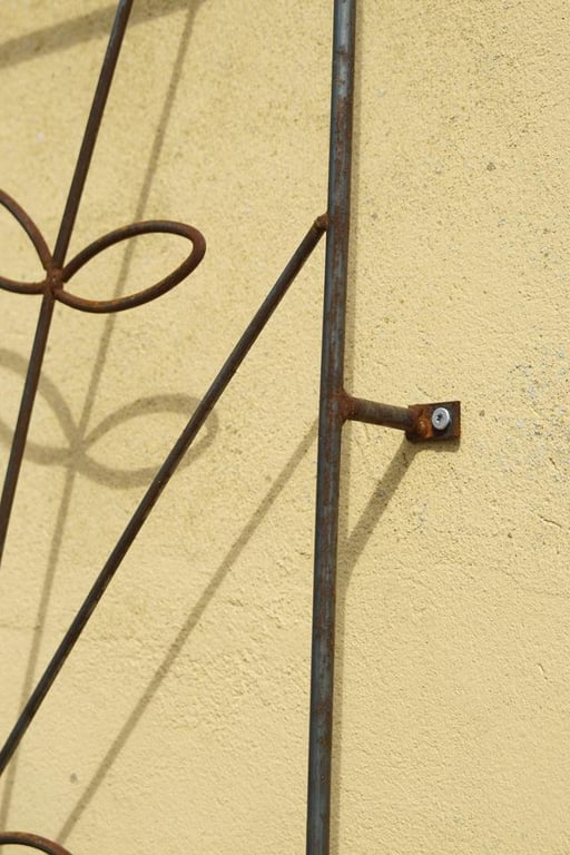 Espalier væg med blade billede 2