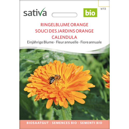 Frøpakke til økologiske orange morgenfrue-blomster med billede af en orange morgenfrue og en bi på blomsten. (1)
