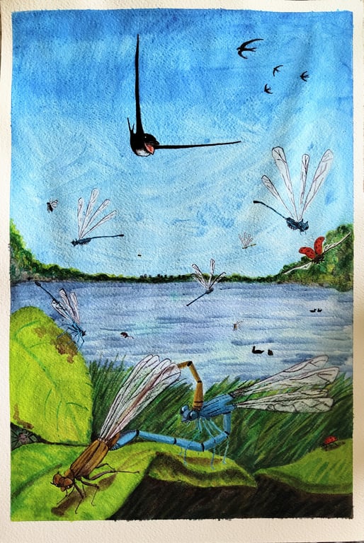 At the lake