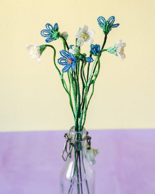 Sart lyserød perleblomst (6)