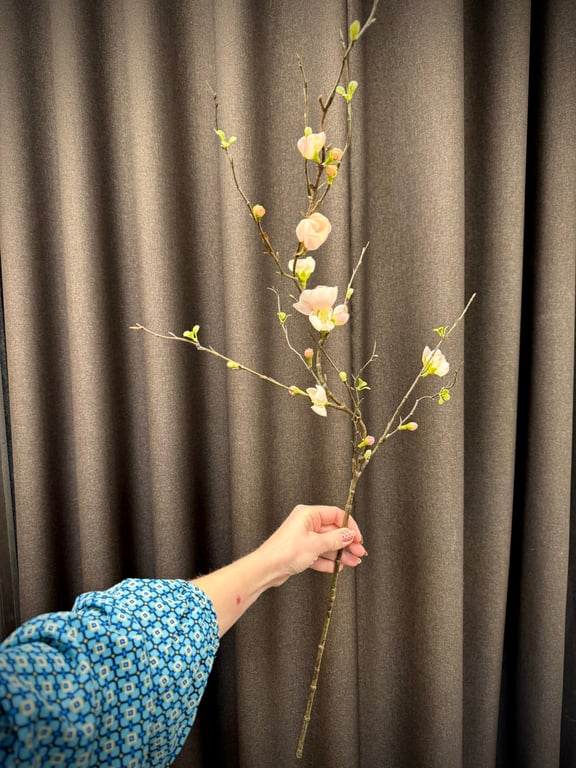 Æble gren  billede 3