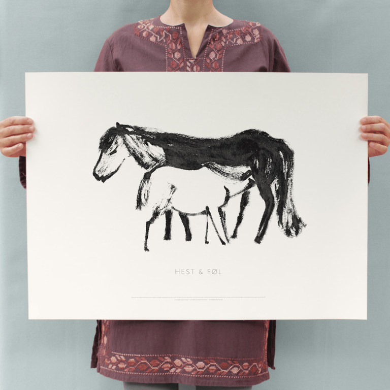 HEST &amp; FØL billede 4
