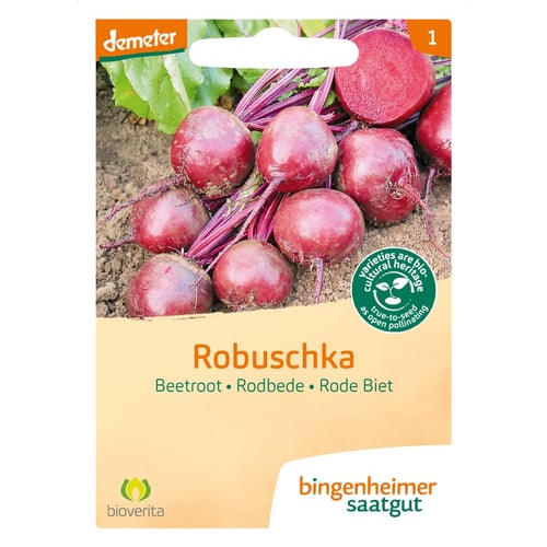 Rødbede - Bingenheimer saatgut