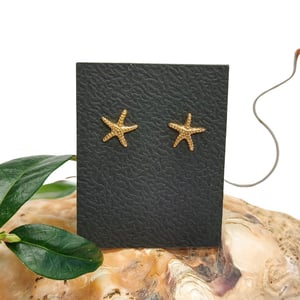 Søstjerne ørestikker – produktbillede