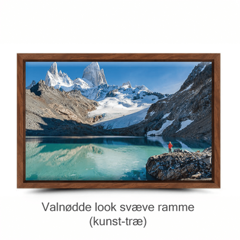 En smuk hvid Gladiolus med en lille gæst, taget en tidlig sommermorgen billede 3