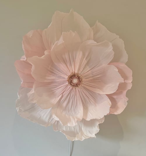 Stor, sart lyserød papirblomst med flere lagede kronblade på en lys baggrund. (1)