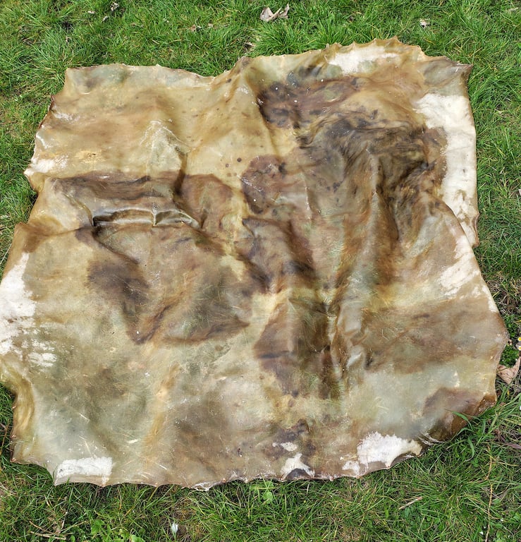 Kæmpe Tromme Bøffelskin