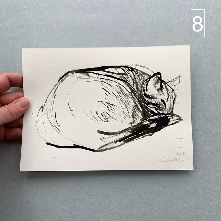 Katteskitser billede 6