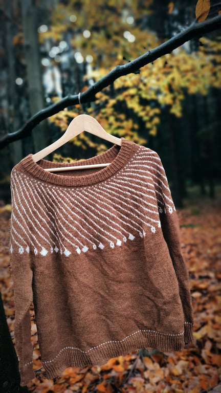 Shooting Star Sweater billede 3