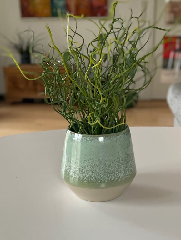 Urtepotte, kobbergrøn billede 2