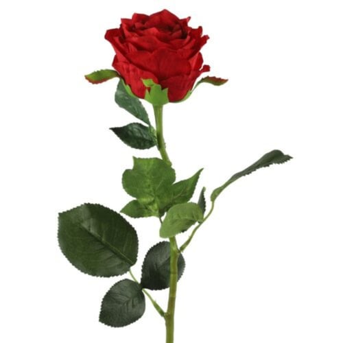 Rose rød 70 cm