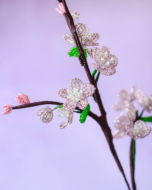 Kirsebærblomst gren (6)
