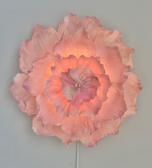 Stor lyserød blomsterlampe med bløde, bølgede kronblade, der lyser varmt indefra, monteret på en lys grå væg. (1)