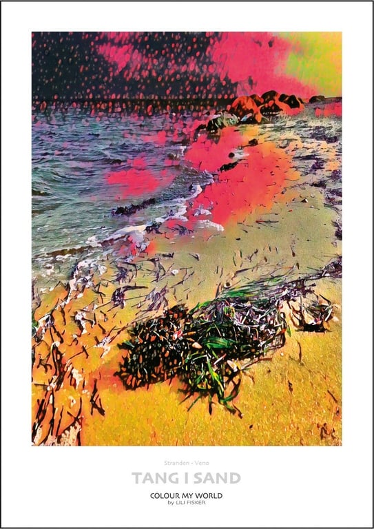 Tang i sand - Venø - A3 billede 2
