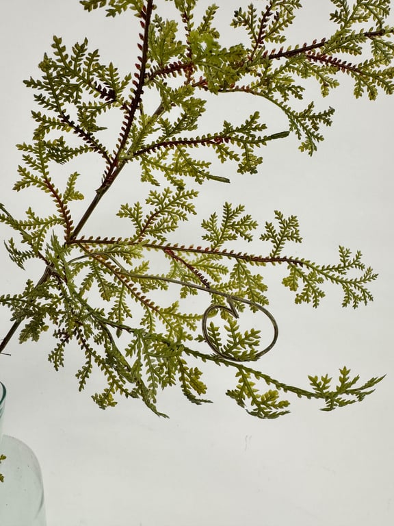 Grøn gren  billede 2