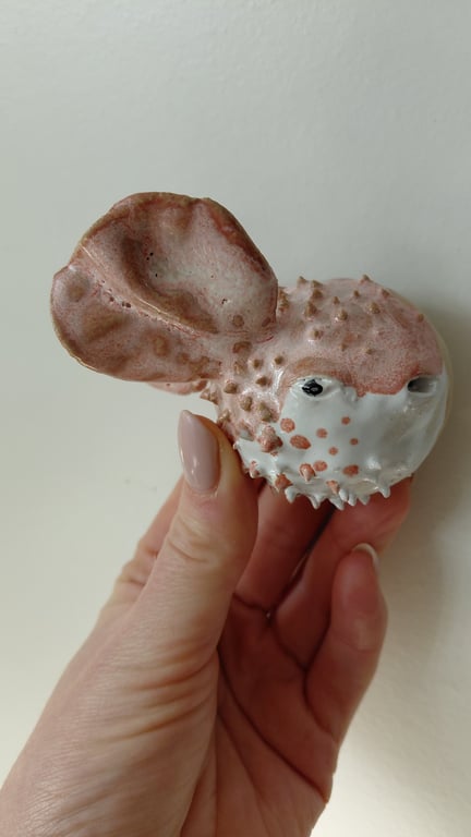 kuglefisk/pufferfish, lille billede 2