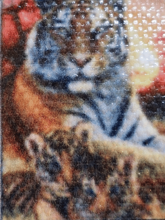 En rigtig pæne tiger 