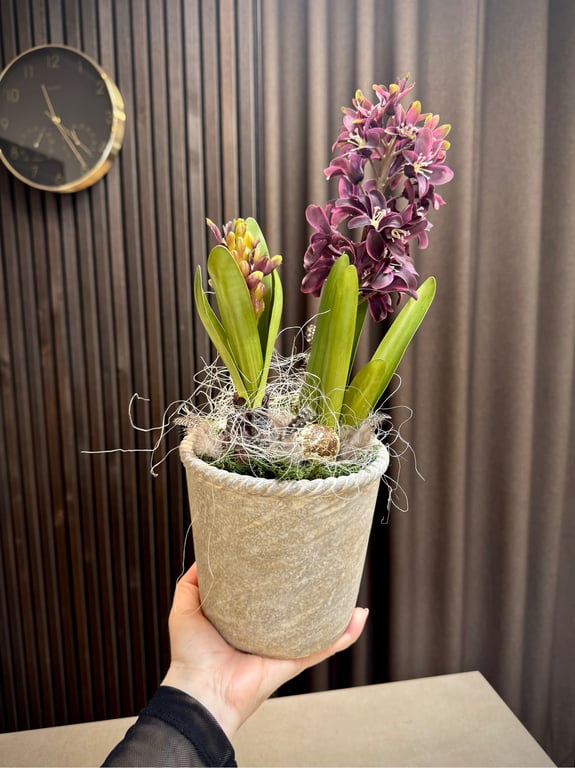 Hyacint deko lilla  billede 2