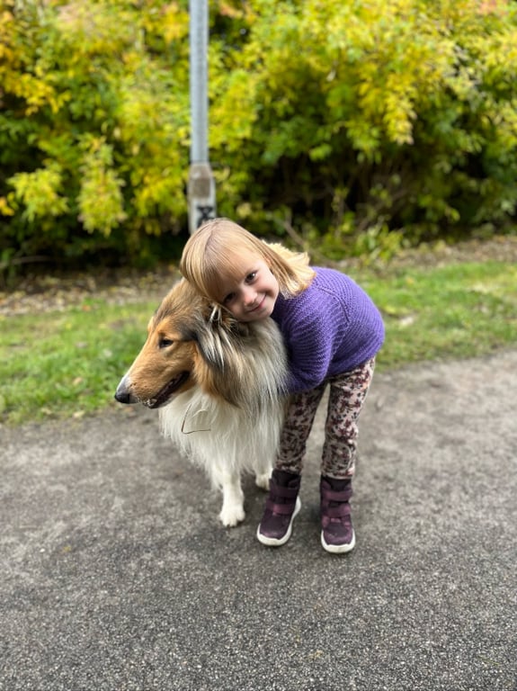 Stripe Sweater Junior strikkeopskrift billede 5