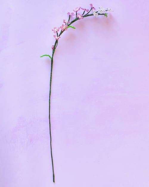 Rosa forglem mig ej (2)