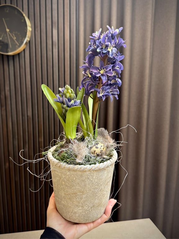 Hyacint deko blå billede 2